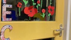 Poppies display