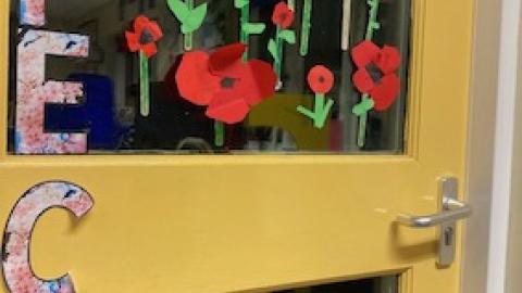 Poppies display