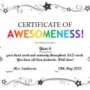 Certificate of Awesomeness!